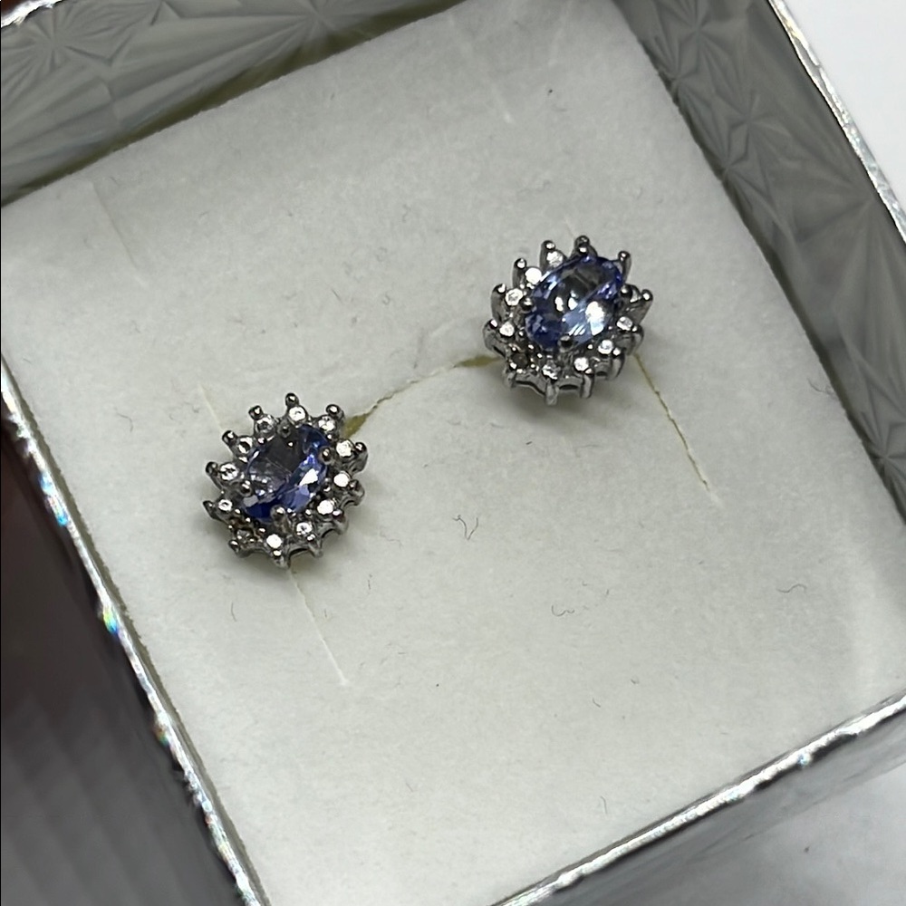 Elegant Blue and Silver Stud Earrings